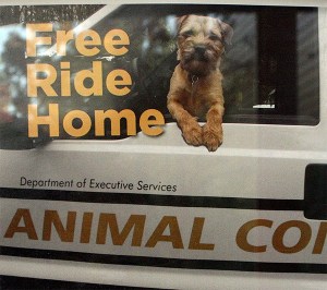 A King County poster advertising the free ride home program.