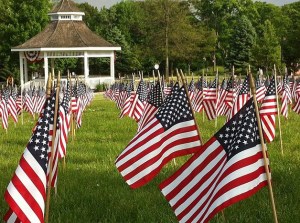 A field of U.S. flags