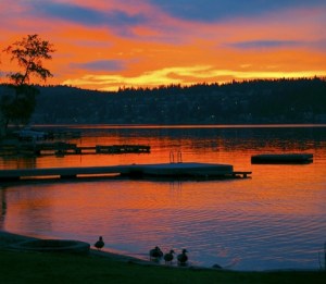 Thanks very much to local resident Susan Schlepp