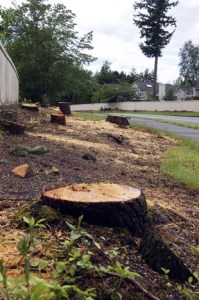 According to the KHA