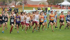 The Eastlake Wolves girls Cross Country team nabbed a sixth place finish (177 team points) and the boys team captured a 10th place finish (232 team points) at the Class 4A state Cross Country Championships on Nov. 7 at Sun Willows Golf Course in Pasco. In girls race