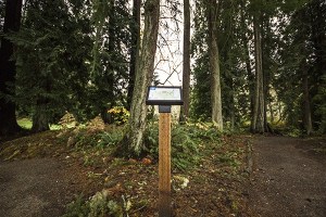 Signs like this one have been installed at trail intersections throughout Evans Creek Preserve as part of ongoing restoration work at the park.