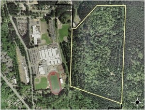 Wellington Park Pointe LLC's proposal to develop land near Issaquah High School looks increasingly less certain after declaring bankruptcy Nov. 2.