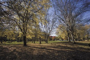 Lake Sammamish State Park