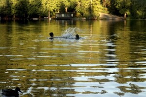 While a lazy dip in a cool lake or stream is a good way to beat the heat