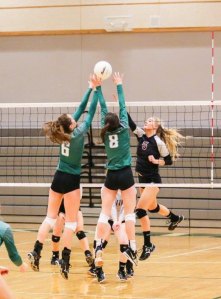 Skyline players Hanna Erdahl