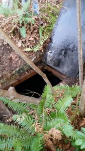 A heavily camouflaged hatch covered the entrance to  Bradley Steven Robinett’s underground cache he had dug into the hillside at 3500 East Lake Sammamish Parkway SE.