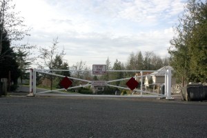 Megan Campbell/staff photo