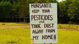 M. Sean Kaminsky“Open Sesame: The Story of Seeds” screens at the Issaquah Depot Museum Friday night