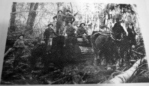 Nicole Jennings/staff photo