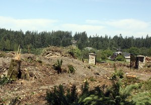 Conner-Jarvis property along Issaquah-Pine Lake Road. Megan Campbell/staff photo