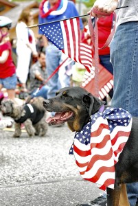 Photo courtesy of Stanley Yuan