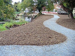 The revamped Salmon Run Nature Park includes walking trails alongside Issaquah Creek so that residents can observe the migrating salmon.