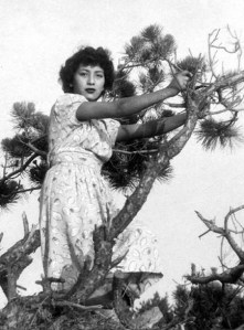 Tsuchino Forrester would rather be in a tree than on the ground. She didn't stop climbing them until she was in her 60s