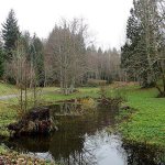 The transfer of the 20-acre section of land at Big Rock Park, referred to as section B, marks the second parcel of the property Pigott has donated to the city of Sammamish. Photo courtesy of Tim Larson/City of Sammamish.