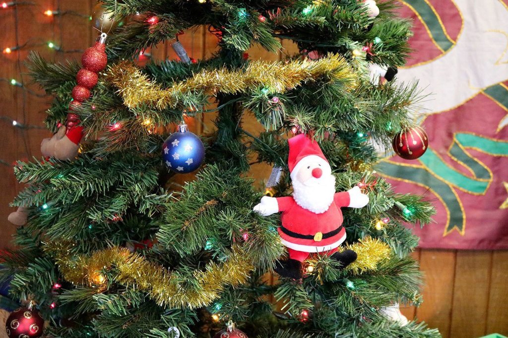 The Cougar Mountain Zoo is decked out with holiday spirit. Nicole Jennings/staff photo