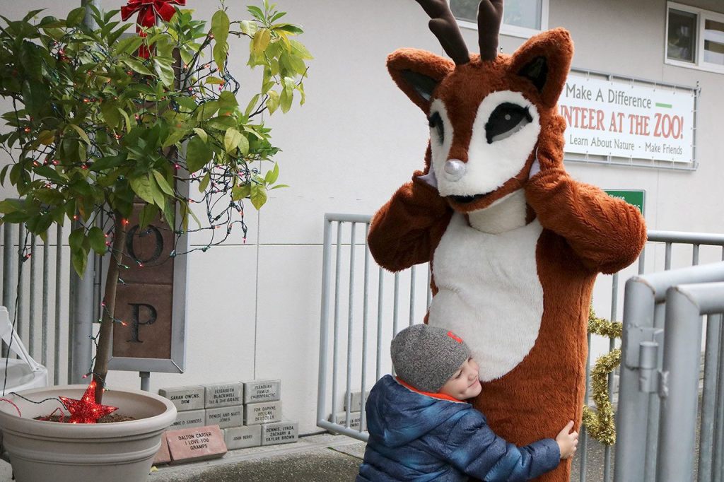 Dylan Meyer, 4, gives a warm greeting to a reindeer at the zoo&rsquo;s entrance. Dylan visited the zoo on the second day of the festival, Dec. 2, with his parents and older brother Liam. Nicole Jennings/staff photo