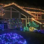 Dressed in holiday style