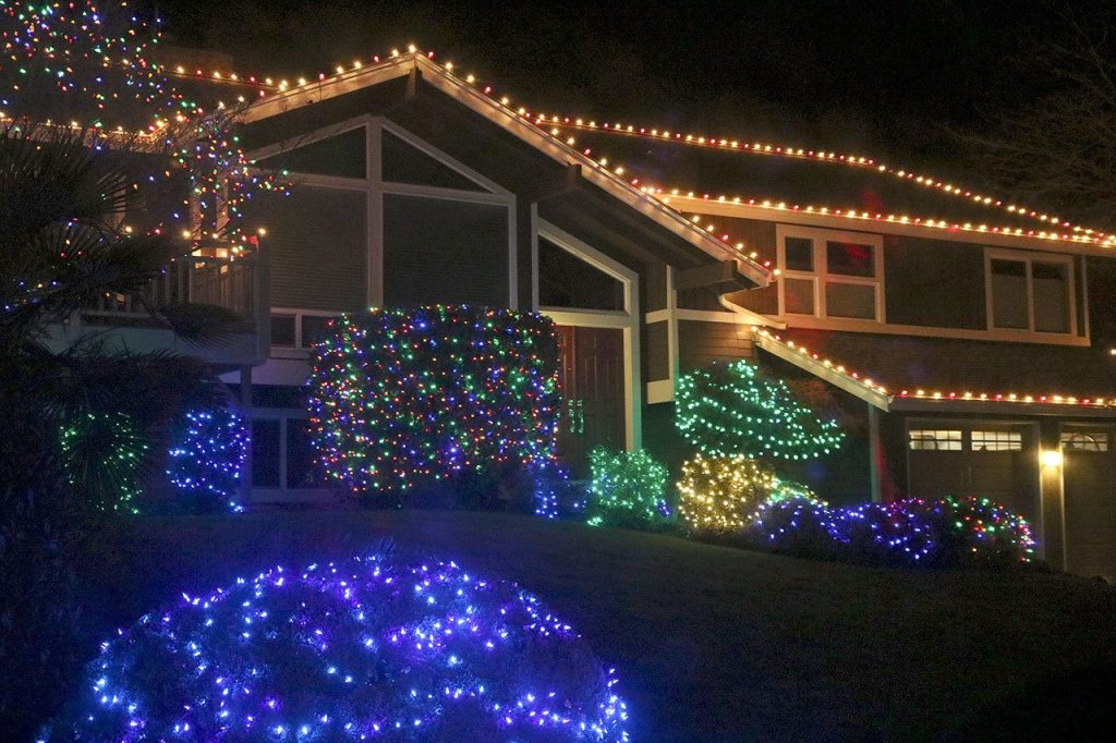 Dressed in holiday style