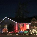 Dressed in holiday style