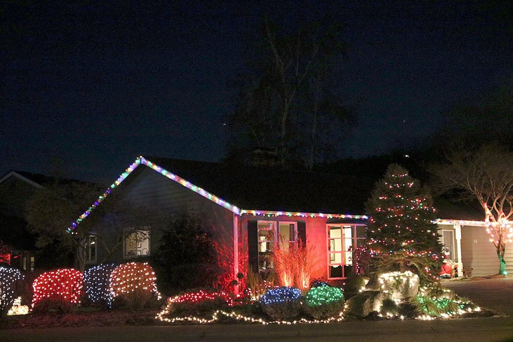 Dressed in holiday style