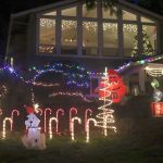 Dressed in holiday style