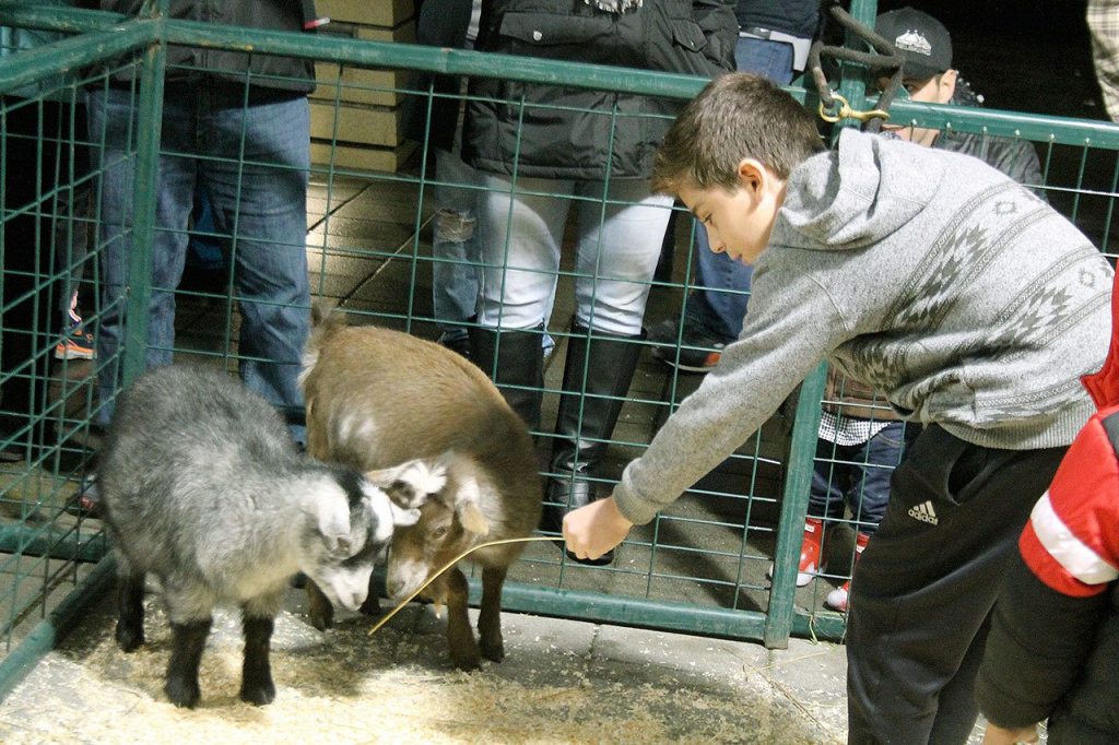 Residents usher in holiday cheer at ‘Very Merry Sammamish’ | Photos