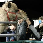 Residents usher in holiday cheer at ‘Very Merry Sammamish’ | Photos