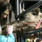 Residents usher in holiday cheer at ‘Very Merry Sammamish’ | Photos