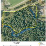 An overhead image of the YMCA property south of Pine Lake Middle School off of 228th Avenue Southeast. Photo courtesy of the city of Sammamish.