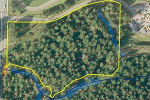 What to do with YMCA property? ‘Save Sammamish’ advocate has an idea