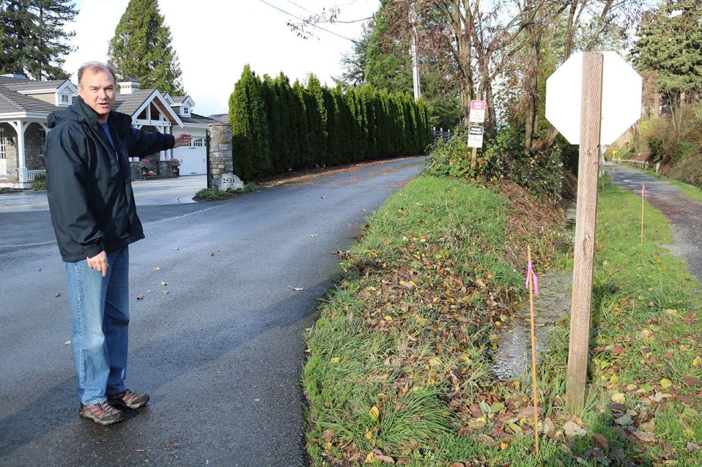Tracy Neighbors, vice president of the Sammamish Homeowners Association, points out areas that will need to be cleared for the East Lake Sammamish Trail expansion. To the right, stakes marking the center line of the trail are set along the grass median (Joe Livarchik/staff photo).