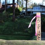 A right-of-way stake marking the center line of the expanded East Lake Sammamish Trail is hammered just to the edge of a homeowner&rsquo;s property, located within segment B of the trail. Another stake can be made out in the background, next to a tree in the homeowner&rsquo;s backyard (Joe Livarchik/staff photo).