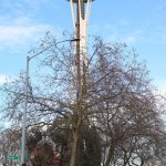 Issaquah mothers, daughters among 200,000 marchers at Seattle Women’s March