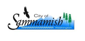 Fallen tree closes Issaquah-Pine Lake Road Sunday morning