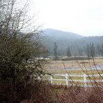 The property could be used to connect the recreational trails of the Issaquah Alps with the Cedar River Trail and Log Cabin Natural Reach Area. Nicole Jennings/staff photo