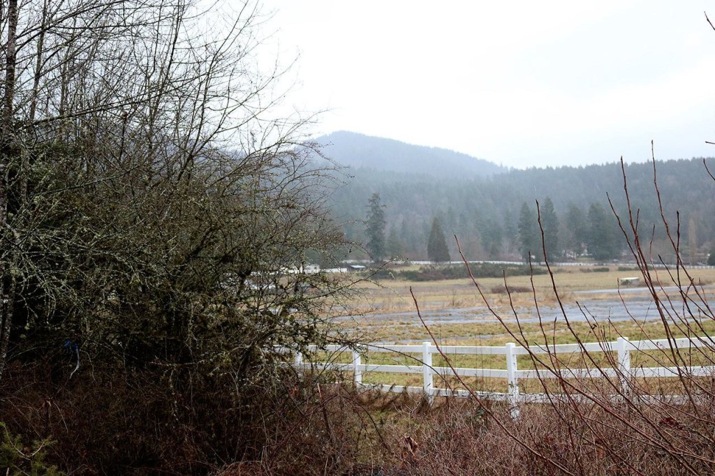 The property could be used to connect the recreational trails of the Issaquah Alps with the Cedar River Trail and Log Cabin Natural Reach Area. Nicole Jennings/staff photo