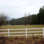 Group members say the trees on the Winterbrook property would have to be cut down for a housing development to be put up. Nicole Jennings/staff photo