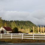 Community members push to preserve Winterbrook Farm