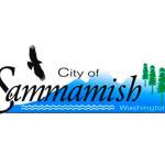 Sammamish Council approves bridge design for Issaquah-Fall City Road project