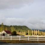 King County officials say that the Winterbrook Farm property is worth preserving as farmland, an animal habitat and for recreational use. Nicole Jennings/staff photo