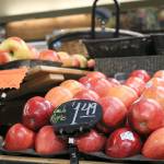 Nicole Jennings/staff photo