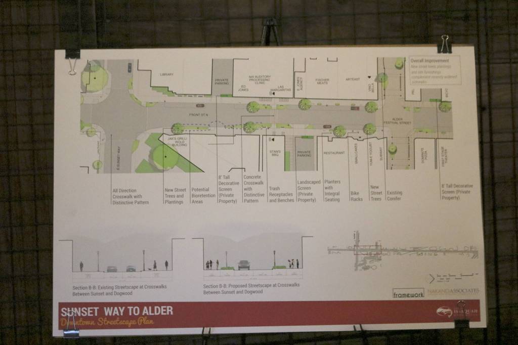 Part of the Streetscape design includes turning Alder Street into a pedestrian-only festival street during special occasions. Nicole Jennings/staff photo