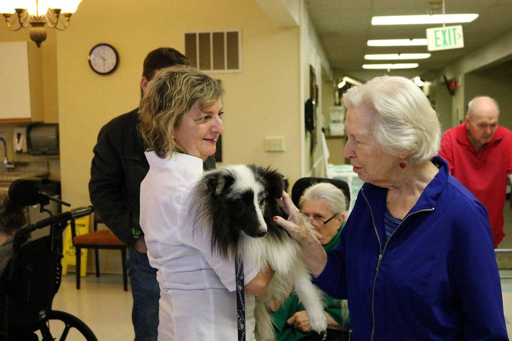 Through the Pet Partners program, Wilson takes Truitt to local nursing homes and hospitals as a form of therapy for patients. Nicole Jennings/staff photo