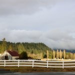 Locals and King County officials said they were very happy to see the Winterbrook Farm property go to a couple determined to preserve the land, rather than to a developer. Nicole Jennings/staff photo