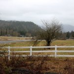 Nicole Jennings/staff photo