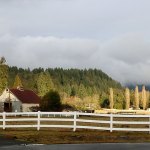 Reagan Dunn: ‘A great day for King County’ | Issaquah School District authorizes sale of Winterbrook Farm to Issaquah couple