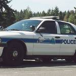 Residents report multiple instances of vehicle vandalism | Sammamish Police Blotter April 10 - April 16