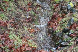 The time is now | Tamarack resident calls for city to address stormwater in subdivision