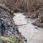 Stormwater runoff rushes through a culvert in the Tamarack subdivision. Joe Livarchik/staff photo